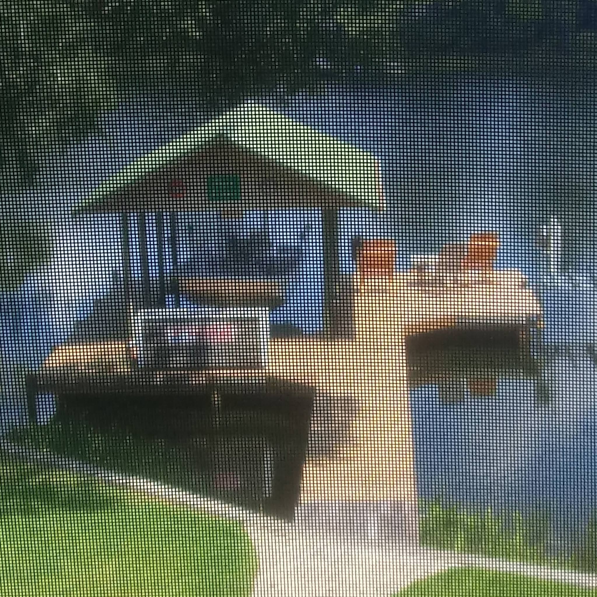 Gallery Image 9